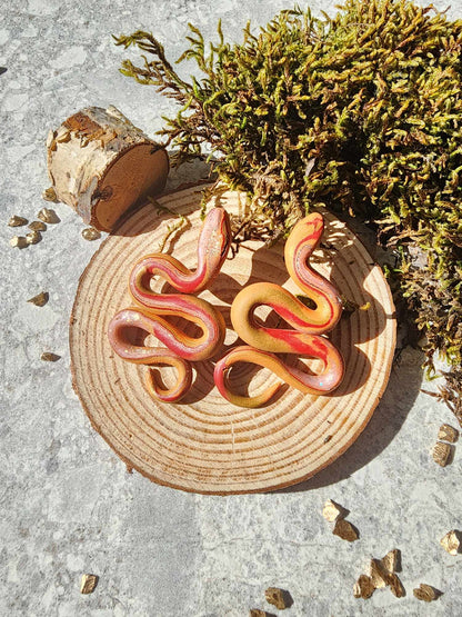 IBLISS orangés
